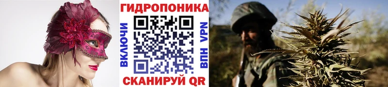 Сколько стоит Куса Каннабис  АМФ  Кокаин  Гашиш  Меф  Alpha-PVP 