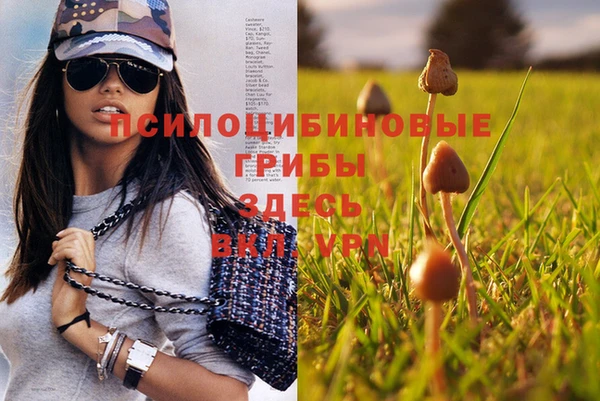 мескалин Белоозёрский