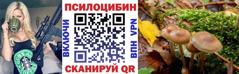 купить   даркнет какой сайт  Псилоцибиновые грибы мицелий  Куса 